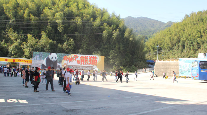 黃山風景區廣告牌